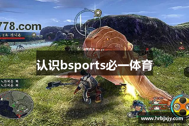 认识bsports必一体育